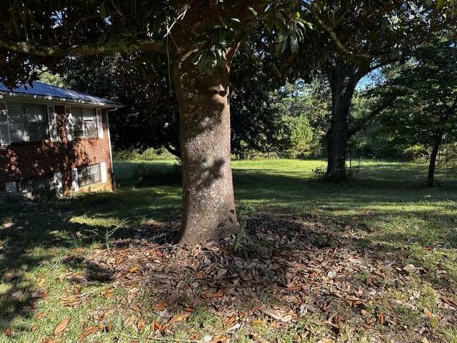 Mature shade trees ring the yard