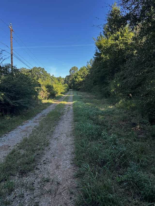 Interior lane through the acreage
