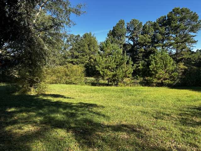 Open pasture and mature pine