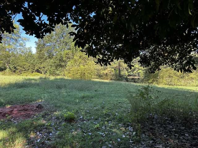 Shade and open ground side by side